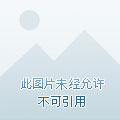 ����ֻ�뵱��������볤������